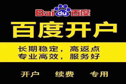 百度竞价包年推广案例深度剖析