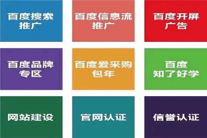 高效SEM托管服务：成功案例深度解析